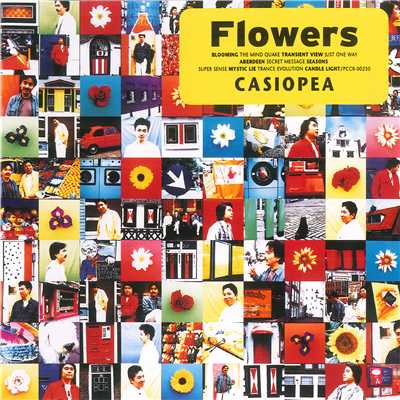 BLOOMING/CASIOPEA
