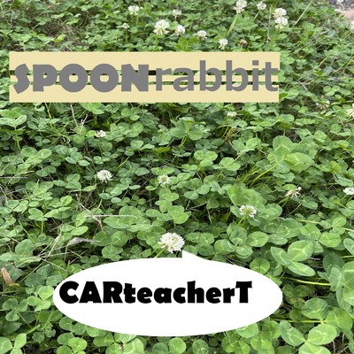 SPOONrabbit/CARteacherT