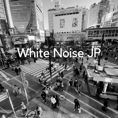 The Sound of Rain on Car Windows, White Noise/White Noise JP