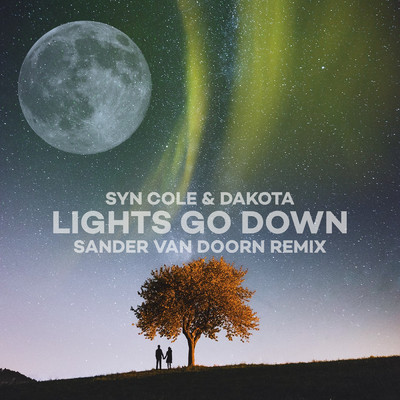 Lights Go Down (Sander van Doorn Remix)/Syn Cole／ダコタ