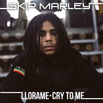 Cry To Me (Kustom Mike Remix)/スキップ・マーリー