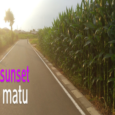 アルバム/sunset/matu