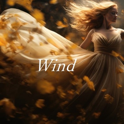 Wind/TandP