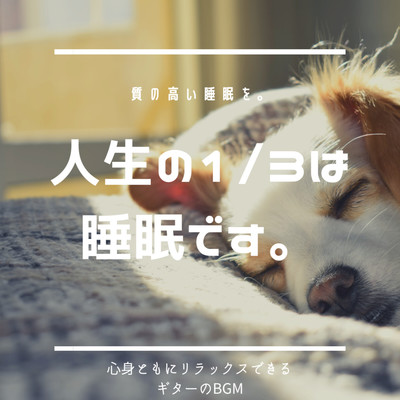 眠るための犬用睡眠導入ギターBGM/DJ Relax BGM
