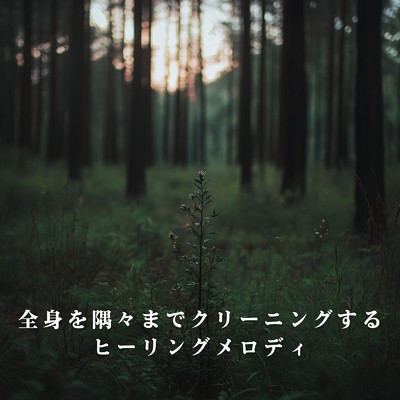 全身を隅々までクリーニングするヒーリングメロディ/Teres