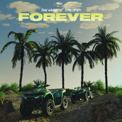 Forever (feat. Shallipopi)/Tion Wayne