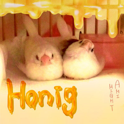アルバム/honig/舞戸亜美