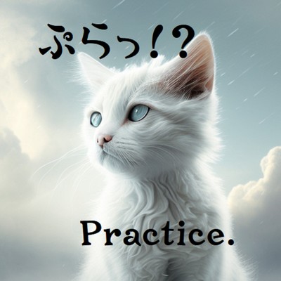 Practice/TABI