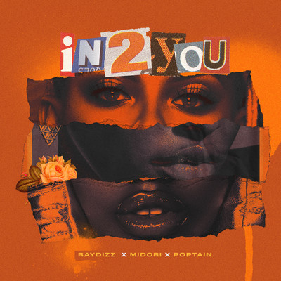 In2You (feat. Poptain and Midori)/RayDizz