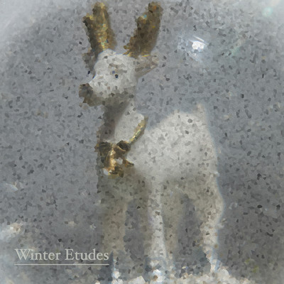 アルバム/Winter Etudes/Karim Kamar