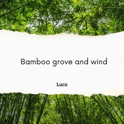 シングル/Bamboo Grove and Wind/Luca