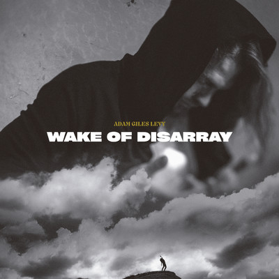 Wake Of Disarray/Adam Giles Levy