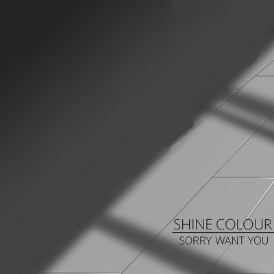 シングル/Sorry Want You (AvO Less Ver.)/Shine Colour