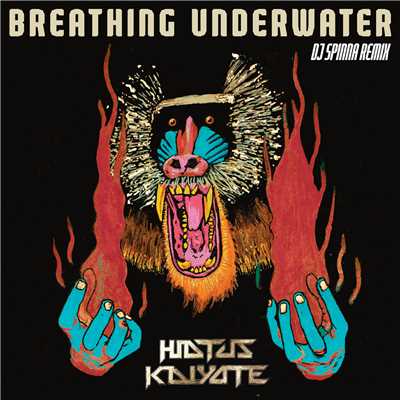 シングル/Breathing Underwater (DJ Spinna Galactic Soul Remix)/Hiatus Kaiyote