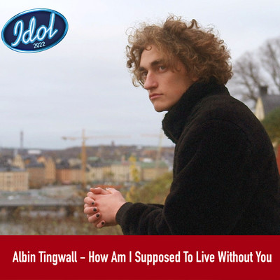 シングル/How Am I Supposed To Live Without You/Albin Tingwall