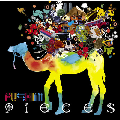 アルバム/Pieces/PUSHIM