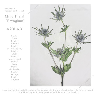 Mind Plant[Eryngium]/A23LAB.