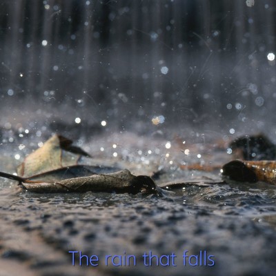 The rain that falls/CC Boy