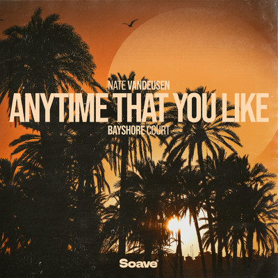 シングル/Anytime That You Like/Nate VanDeusen & Bayshore Court