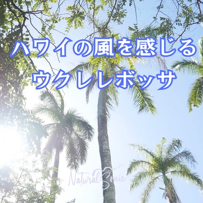 アルバム/ハワイの風を感じるウクレレボッサ/Natural Sonic