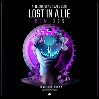 Lost in a Lie (d'Andre Sunset Deep Remix)/Nigel Stately, T.O.M & Betti