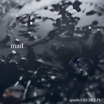 mad/spade13(13R.I.P)