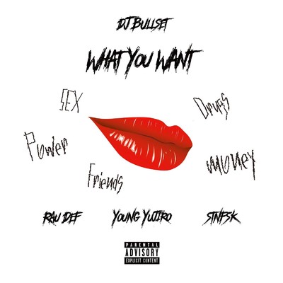 What You Want (feat. RAU DEF & Young Yujiro)/DJ BULLSET