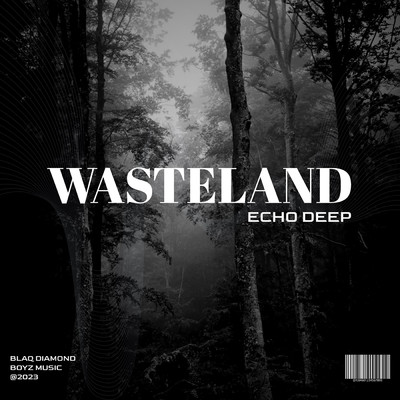 WASTELAND/Echo Deep