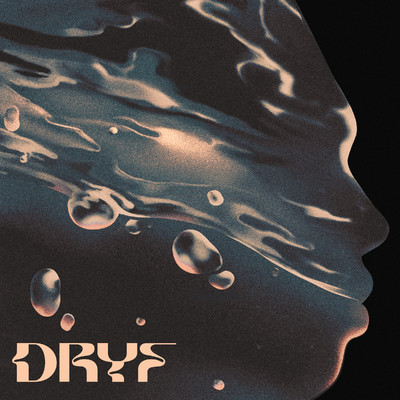 アルバム/Dryf/VAE VISTIC
