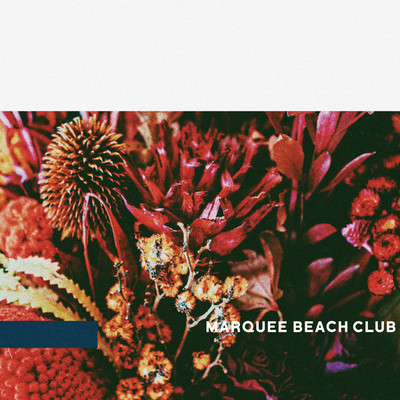 follow(kmn Remix)/MARQUEE BEACH CLUB