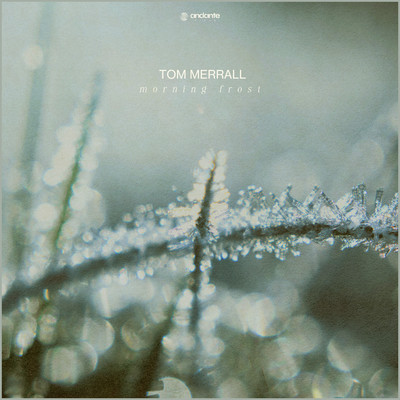 シングル/Morning Frost/Tom Merrall