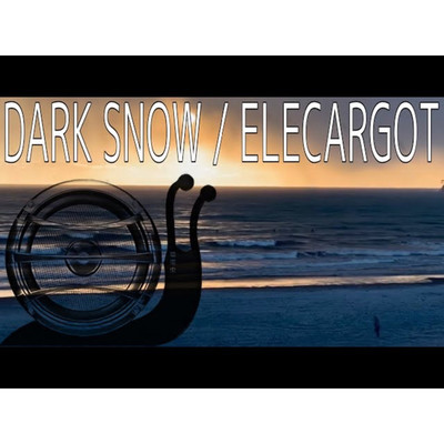 DARK SNOW/ELECARGOT