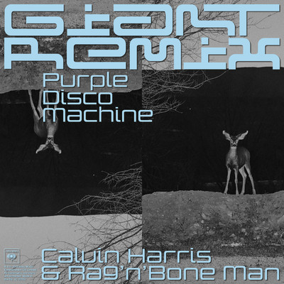 シングル/Giant (Purple Disco Machine Extended Remix)/Calvin Harris／Rag'n'Bone Man