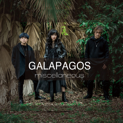 シングル/GALAPAGOS/miscellaneous
