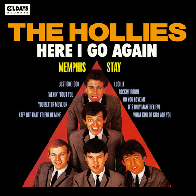 JUST ONE LOOK/The Hollies