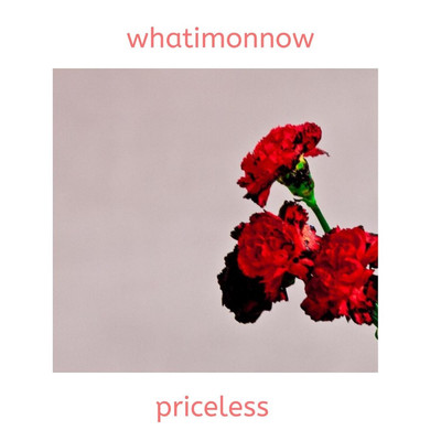 Priceless/WhatImOnNow