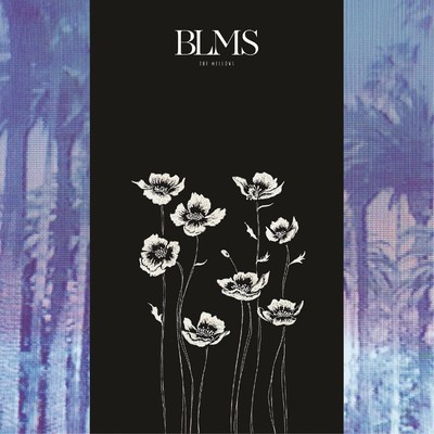 シングル/My blooms/The mellows