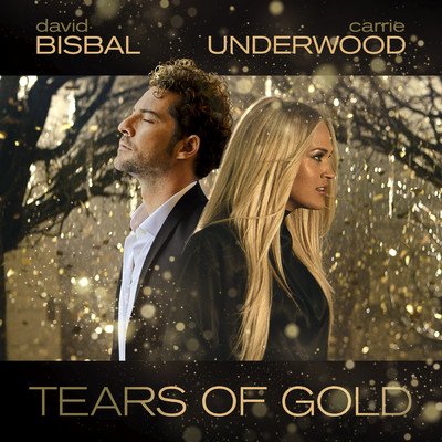 シングル/Tears Of Gold/ダビッド・ビスバル／キャリー・アンダーウッド