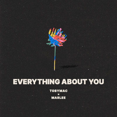 アルバム/Everything About You/トビーマック
