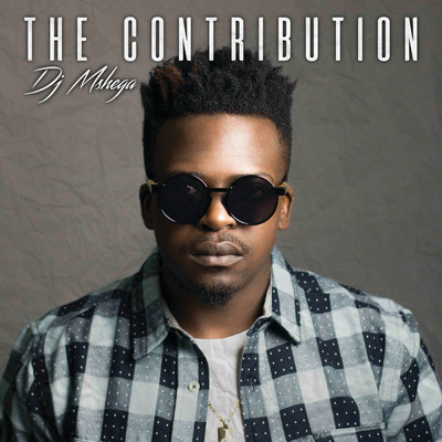 アルバム/The Contribution/DJ Mshega