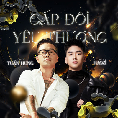 Gap Doi Yeu Thuong (Haozi Remix)/Tuan Hung