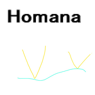 Homana/岡柴