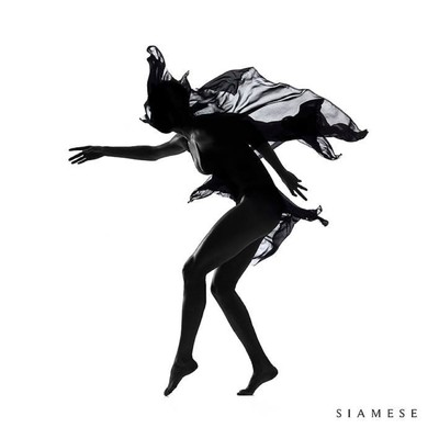 シングル/Bleed(Instrumental)/Siamese