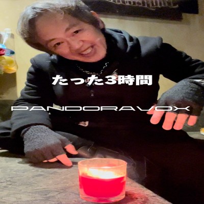 たった3時間/PANDORAVOX