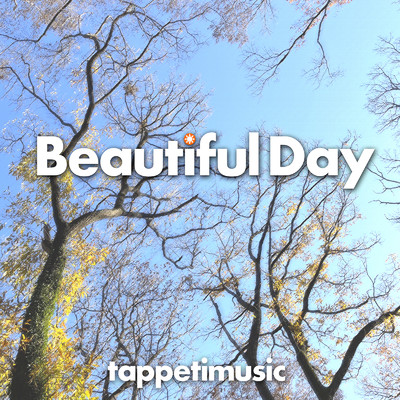 シングル/Beautiful Day/tappetimusic