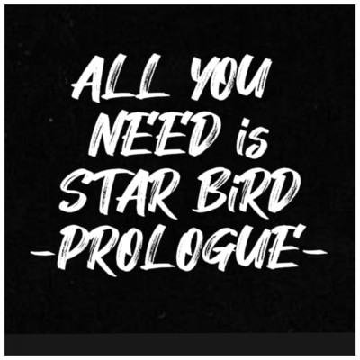 ALL YOU NEED is STAR BiRD -PROLOGUE-/STAR BiRD