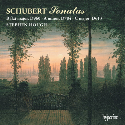 Schubert: Piano Sonata in B-Flat Major, D. 960; in A Minor, D. 784; in C Major, D. 613/スティーヴン・ハフ