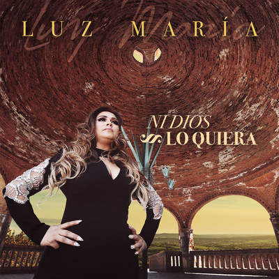 アルバム/Ni Dios Lo Quiera/Luz Maria