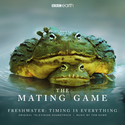 アルバム/The Mating Game - Freshwater: Timing Is Everything (Original Television Soundtrack)/トム・ホウ