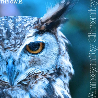 アルバム/THE OWLS/Annoymity Chronity